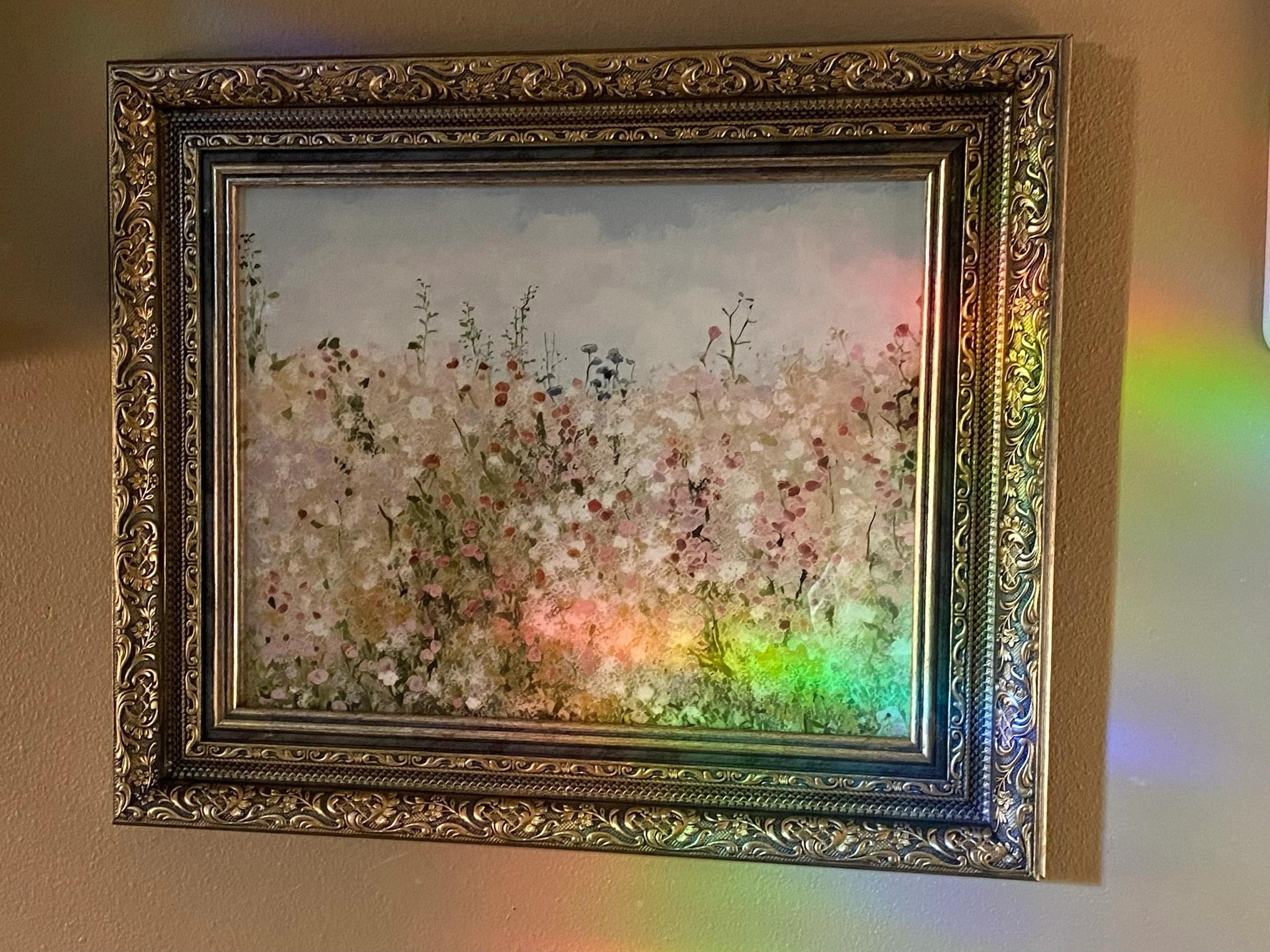 Wildflower Field — photo from Morgan